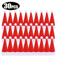 30 PÇS