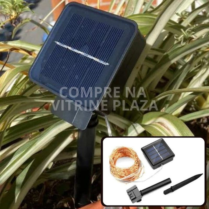 Pisca Pisca Solar 02